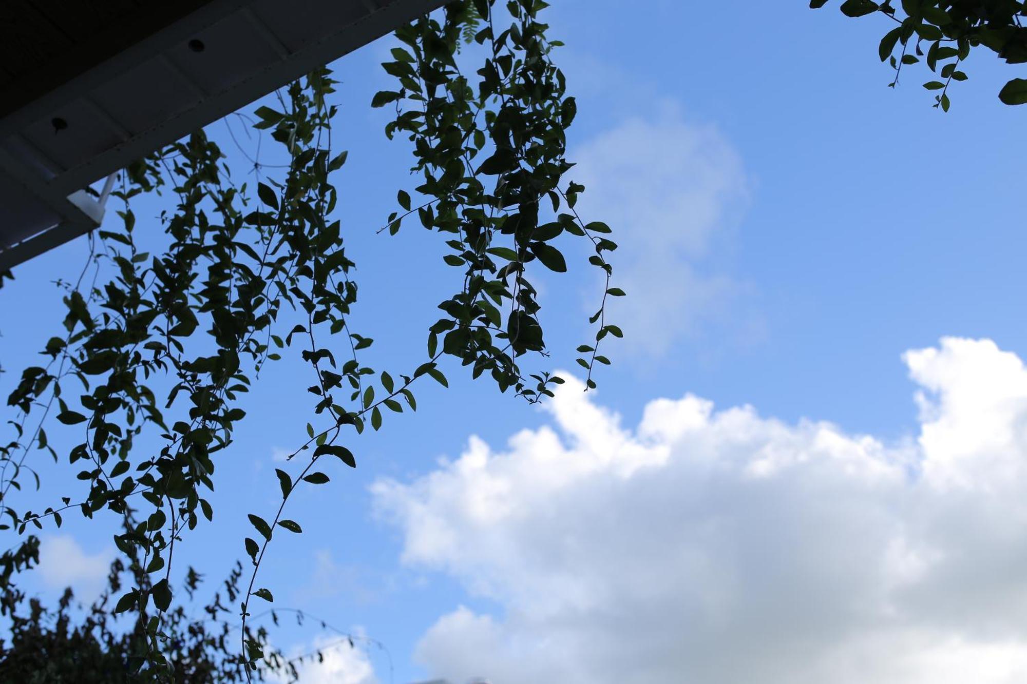 The Eudora Homestay ไฮฟอง ภายนอก รูปภาพ